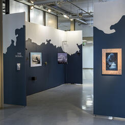 The Ocean - Installation View I