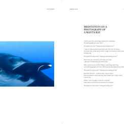 Rays in Reflection, page 6 