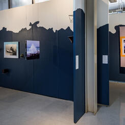 The Ocean - Installation View IV