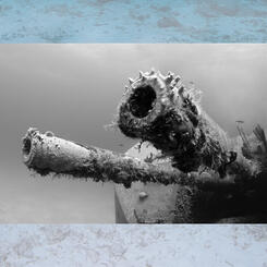 Bellowing at Ancient Megafauna, 2019