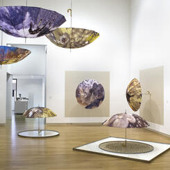 Unsung Heroes Installation view 