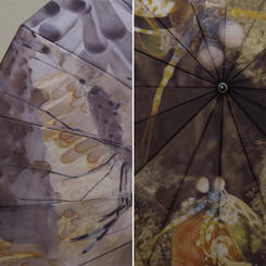 Details from Wall-Mounted Umbrellas