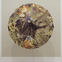 Peacock Mantis Shrimp Umbrella