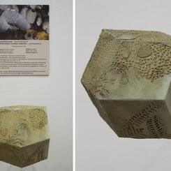 Decorator crab and Tunicate dodecahedron