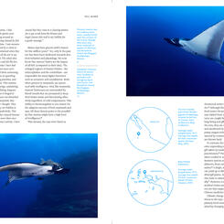 Rays In Reflection, page 2 