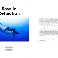 Rays in Reflection, page 1 