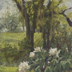 Gruber 4_Peonies & Clouds.jpg