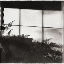 Living Room (afternoon)