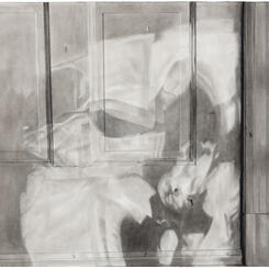 Front door (morning)