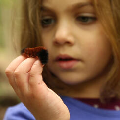 5. There There_screenshot 4