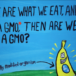 Are we also a GMO?
