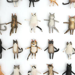 Extended Feline Family (close up)