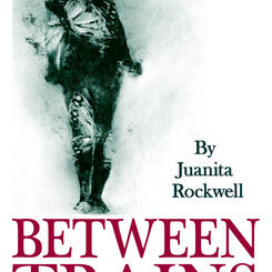 Between trains book cover