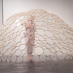 trace1-284 copy.jpeg