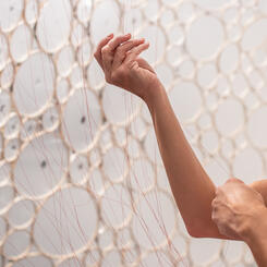 trace3-318 copy.jpeg