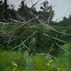 the house of the king....jpg