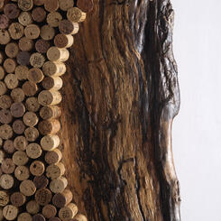 Basics Shapes of Nature (detail  #1)