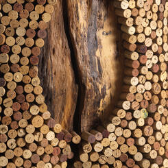 Basics Shapes of Nature (detail #2)