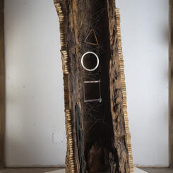 Basics Shapes of Nature - Interior 