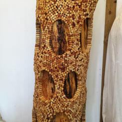 Basic Shapes of Nature