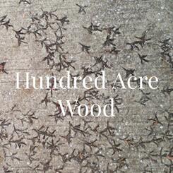 Hundred Acre Wood