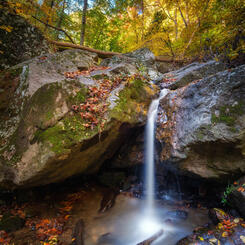 Textures of Fall, Cascade Falls