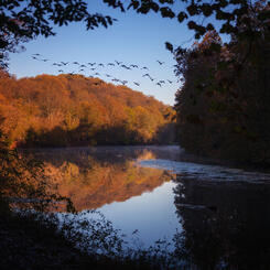 Textures of Fall, Daniels  Area, Morning Fly Out
