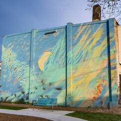 Darley Park Gateway Mural, #1