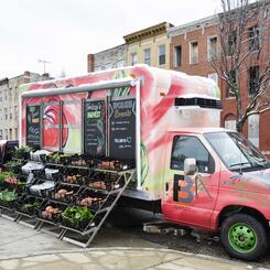 Food Truck in Action