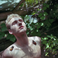 Abandoned Greenhouse