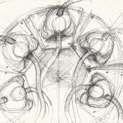 Pulmonate drawing, ink on paper