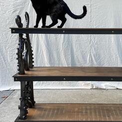 Kraken shelves with Colin