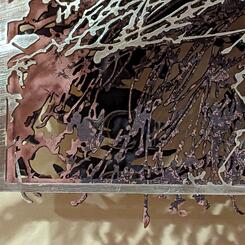 Callistemon detail.jpg