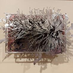 Callistemon final.jpg