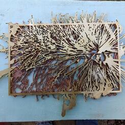 Day 42 second layer complete-firsta nd second layers.jpg