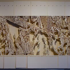 Definition of Monoculture .jpeg