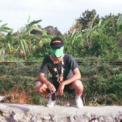 Film Still 4 - The plants want to watch my movies 