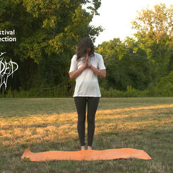 My Expanded View (2018)