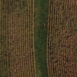 200 Nam Nam Video Still 4