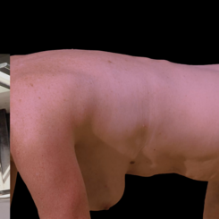 Boxed (still view of video, prior to projections on installation architecture)