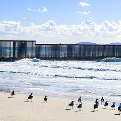 Into the Pacific Ocean