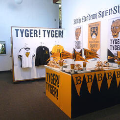 RL Tillman, Fearful Symmetry installation view