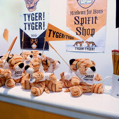 RL Tillman, Fearful Symmetry installation view