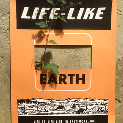 RL Tillman, Knock Off