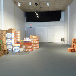 RL Tillman, Aphorisms, installation view