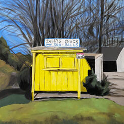 Sally's Shack Sno-balls