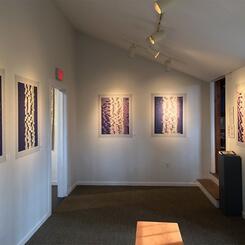Installation view at Rehoboth Art League