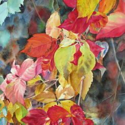 Fall Cascade II, watercolor painting of autumn foliage on vines, by Elizabeth Burin, fall color