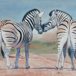 Zebra Love