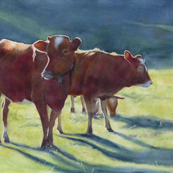 Evening on the Pasture